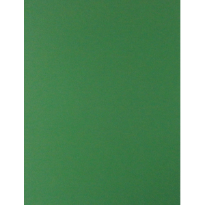 CARTULINA VERDE INTENSO 65X50 CM 170G FASHION 939 CARTULINA VERDE INTENSO 65X50 CM 170G FASHION 939