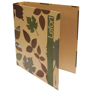 REGISTRADOR RADOT/CARTA GOGREEN LEFORT REGISTRADOR RADOT/CARTA GOGREEN LEFORT