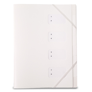 FOLDER CON SEPARACIONES (COLECCION INITIAL, COLOR FOLDER CON SEPARACIONES (COLECCION INITIAL, COLOR